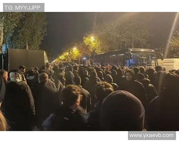 足球明星遭球迷袭击事件引发热议球队安全问题亟待关注