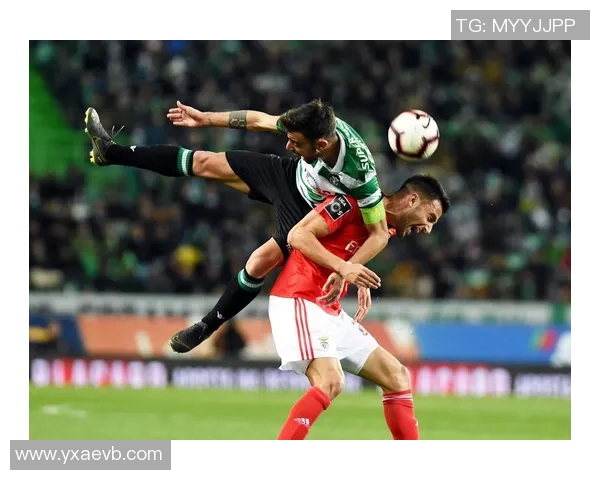 法伦斯与费雷拉的巅峰对决谁能笑到最后精彩赛事即将上演 法伦斯与费雷拉的巅峰对决谁能笑到最后精彩赛事即将上演