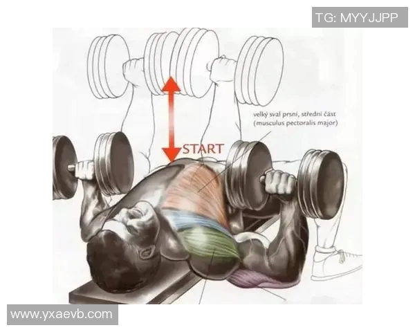 在家轻松健身哑铃锻炼的十种有效方法分享